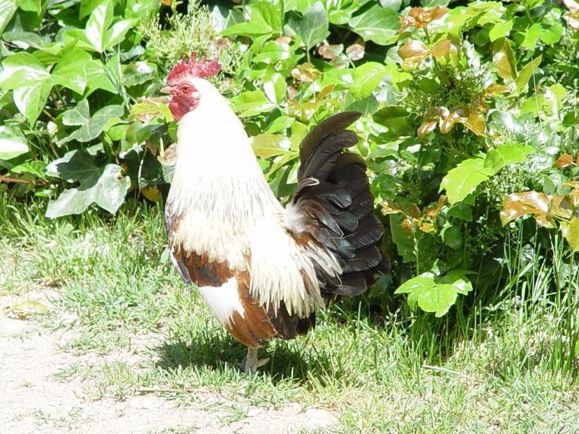 Hospedium Hacienda Las Cavas Olmedo Εξωτερικό φωτογραφία